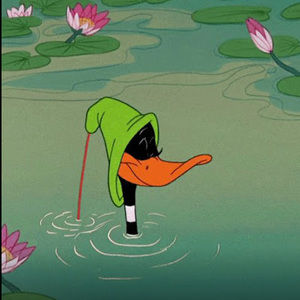 Meet your Posher, Thomas